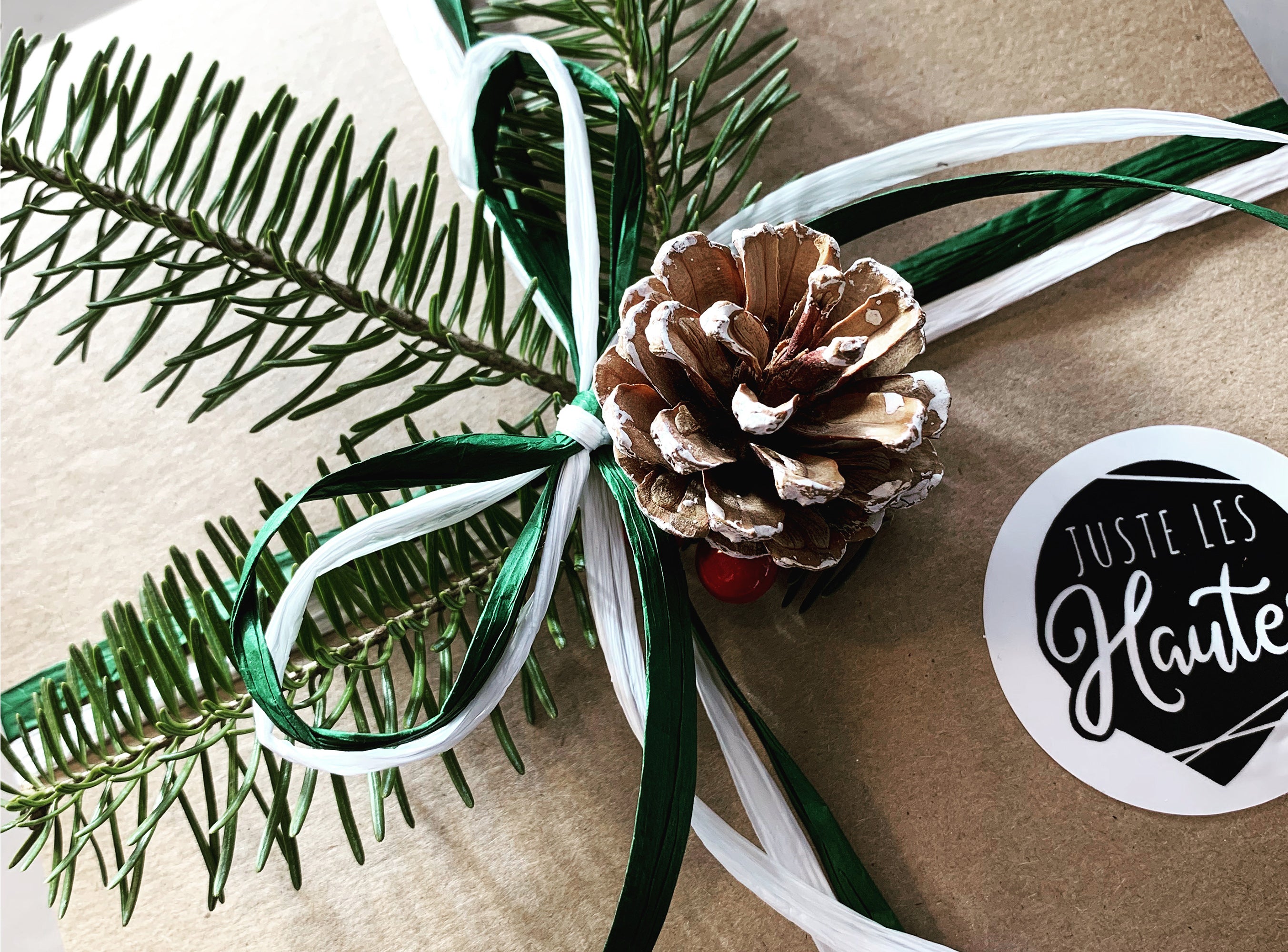 L'Amateur de Noël (Cadeau-surprise des Fêtes)