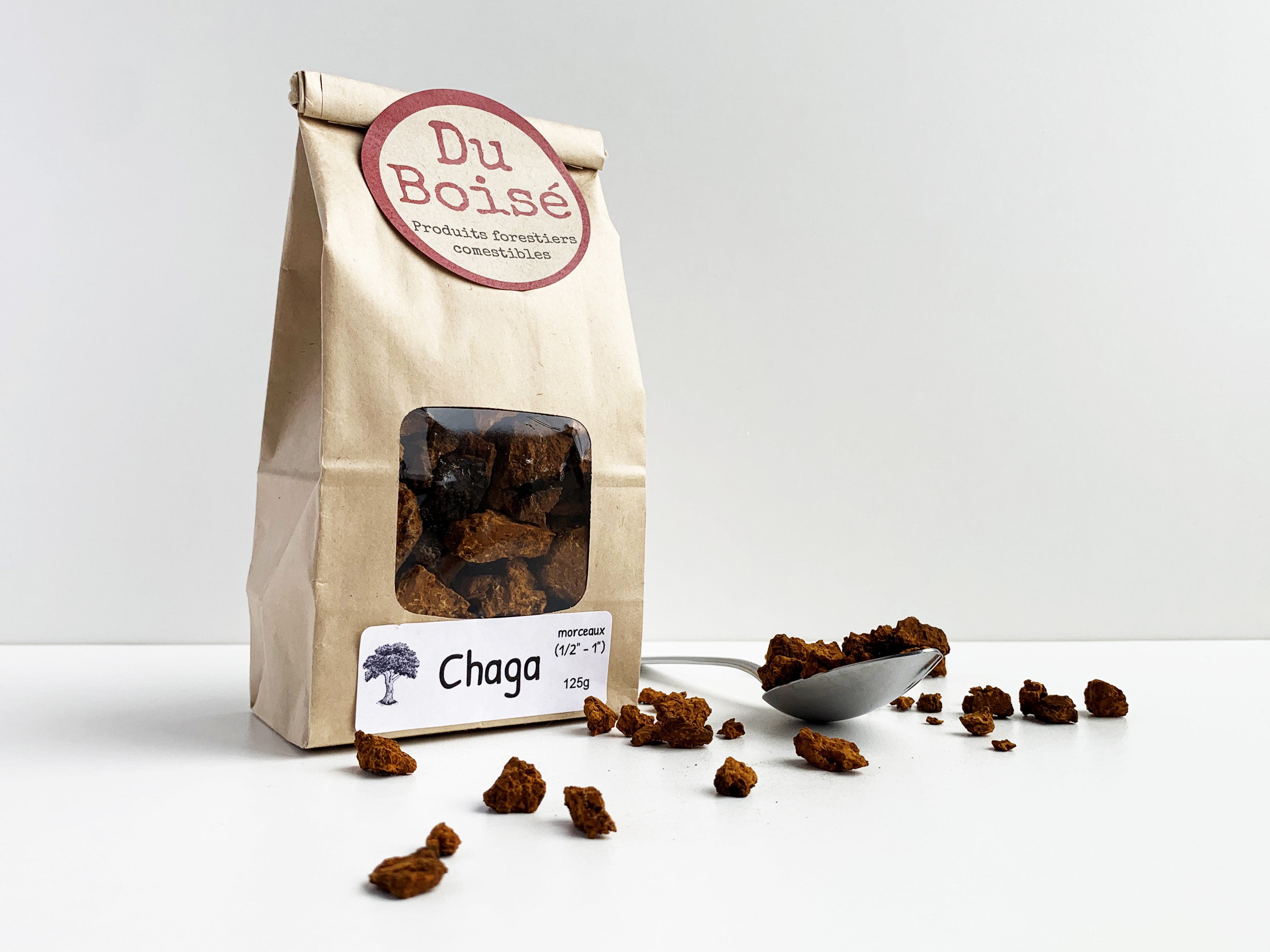 Chaga en morceaux