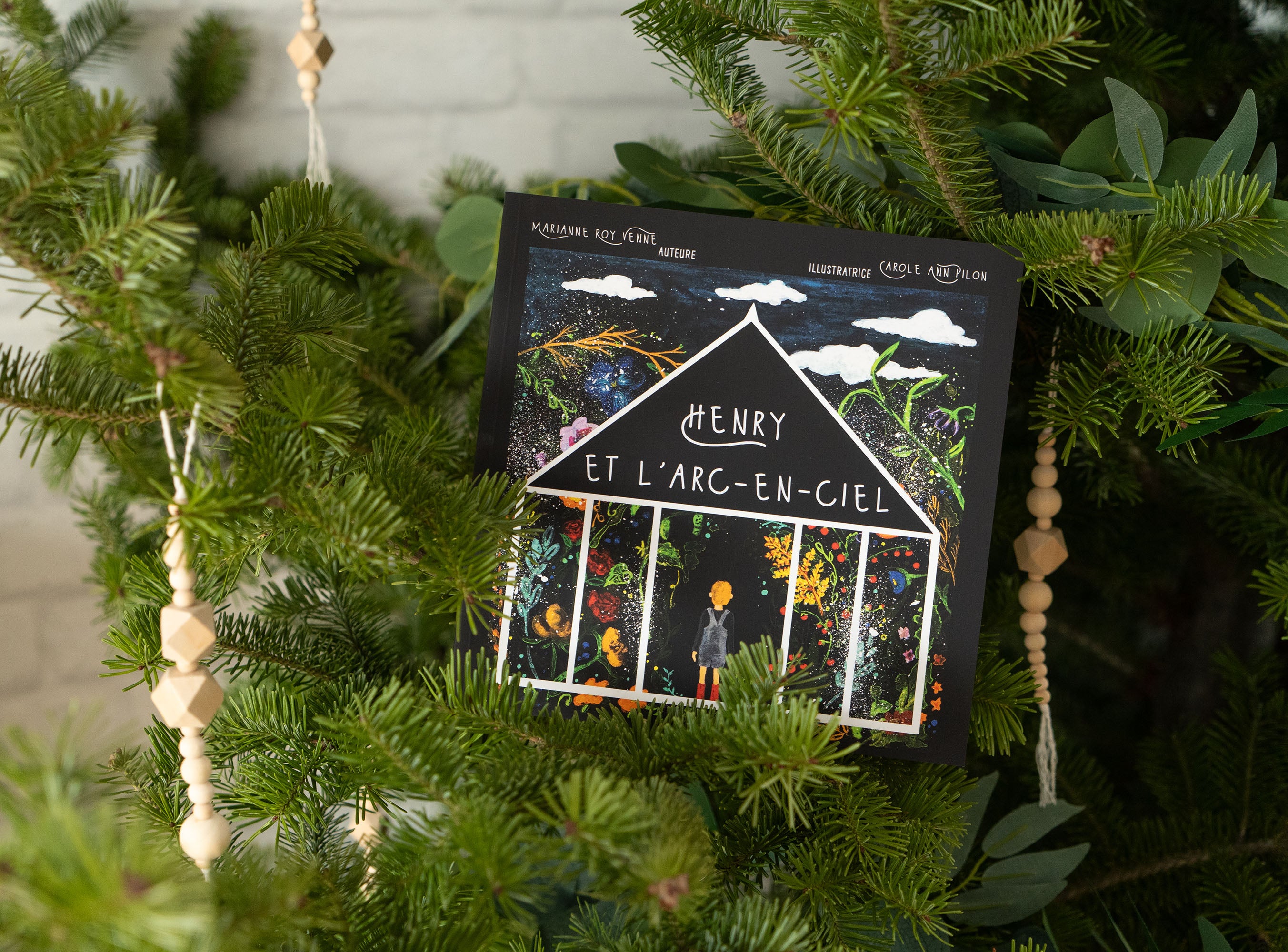 Livre jeunesse Henry et l'arc-en-ciel